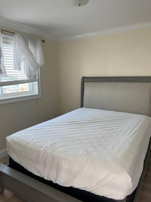 Hampton Beach Ocean Front Condo At The Surf エクステリア 写真